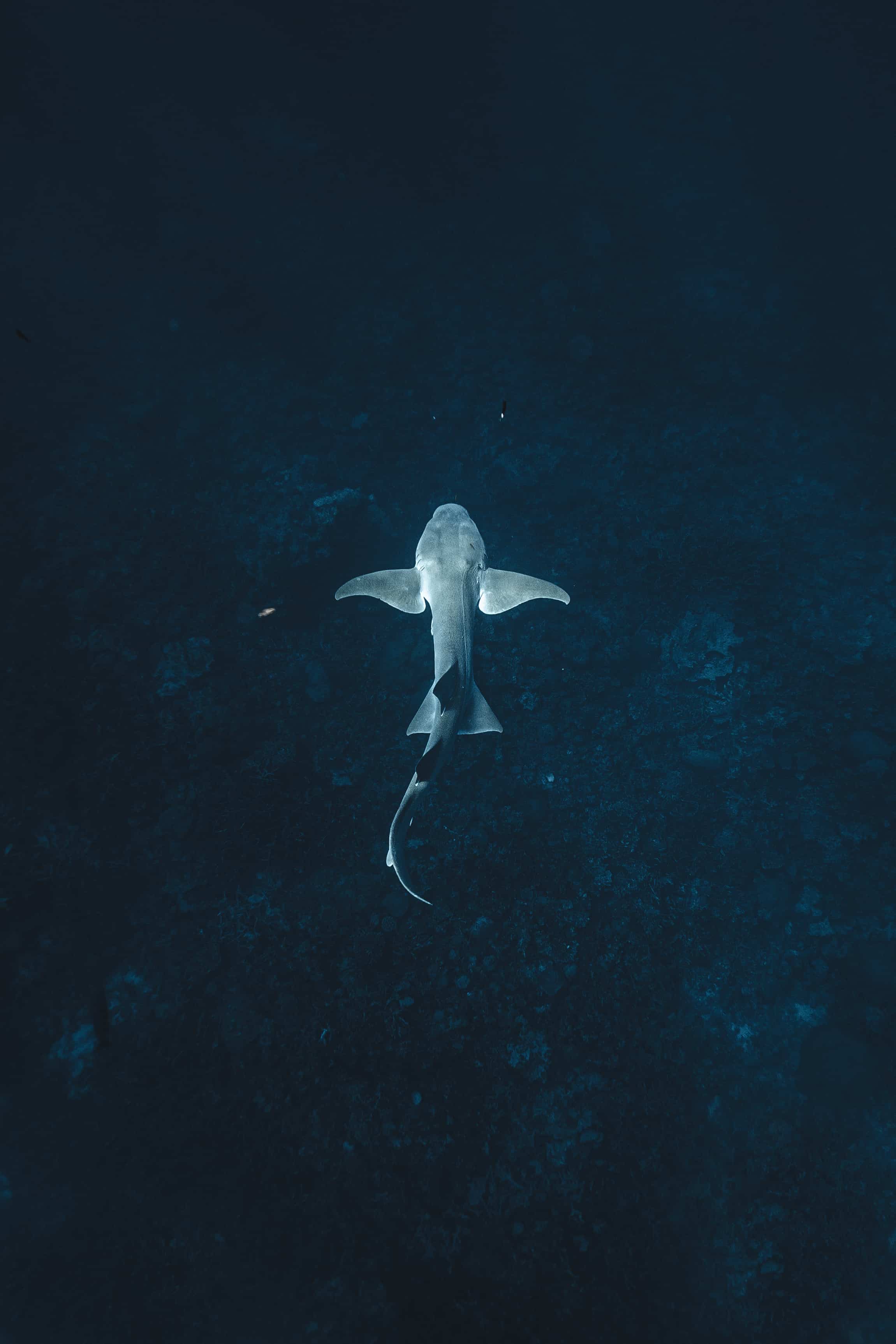 Ayada, Maldives